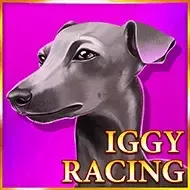Iggy RacingOnlyplay